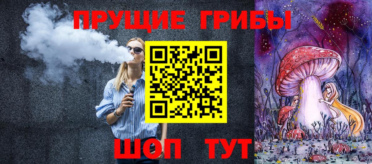 Заволжье  Псилоцибиновые грибы ЛСД  Вход с VPN 