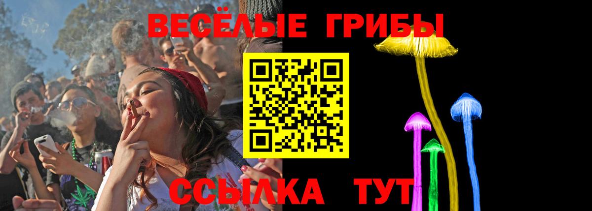 Галлюциногенные грибы мухоморы Заволжье